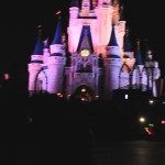 【WDW】パレード前で盛り上がすワゴン販売キャスト＆ゲスト@Magic Kingdom, Walt Disney World(マジックキングダム、ウォルトディズニーワールド) #ディズニー #followme