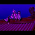 Miracle Vell Magic ＆ Eric – A Whole New World Duet (with Aladdin ＆ Jasmine) #ディズニー #Disney #followme