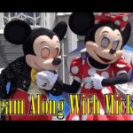 ºoº [4K] 表情豊かなミッキーたち♪ ディズニーワールド キャッスルショー ドリームアロングウィズミッキー Dream Along With Mickey at Magic Kingdom #ディズニー #Disney #followme