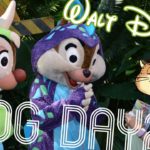 【フロリダ】5泊7日ディズニーワールドVlog【WDW】2018.10 Day2 #ディズニー #Disney #followme